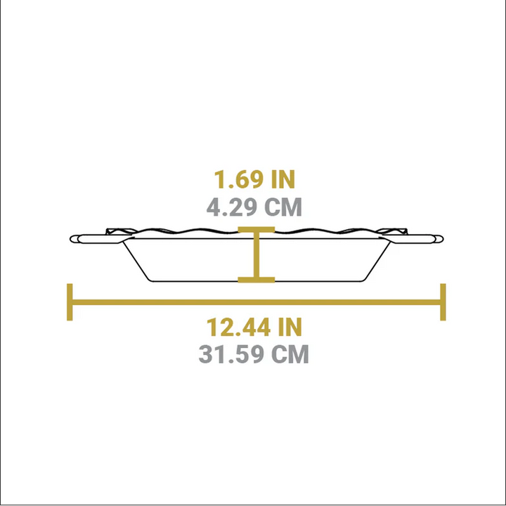9 Inch Seasoned Cast Iron Pie Pan