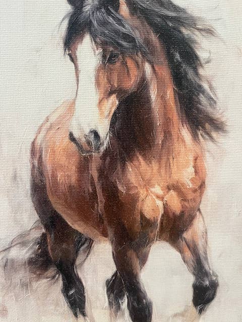 Equestrian horse canvas art print