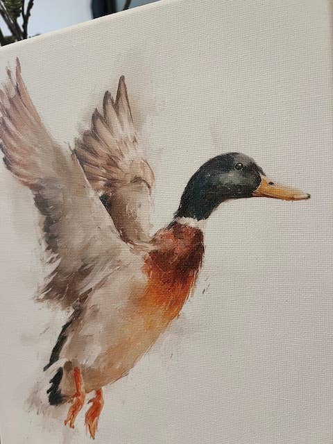 Mallard duck canvas art print
