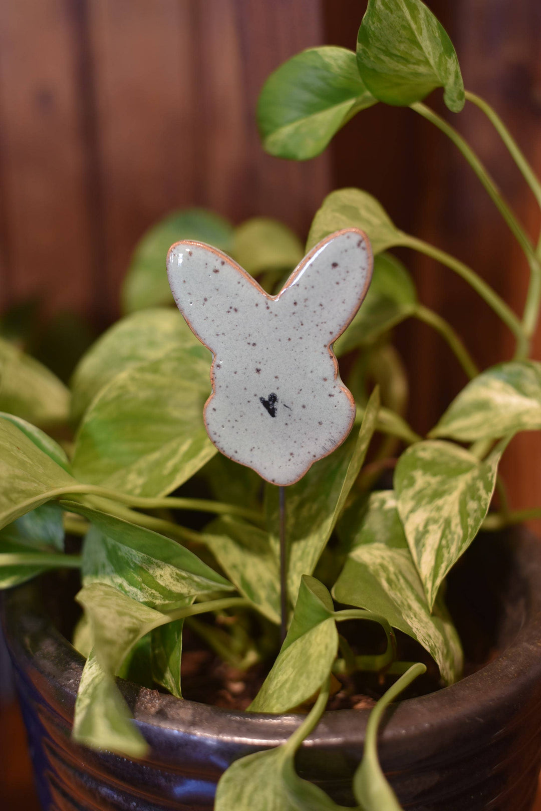 Plant Buddies - Bunny