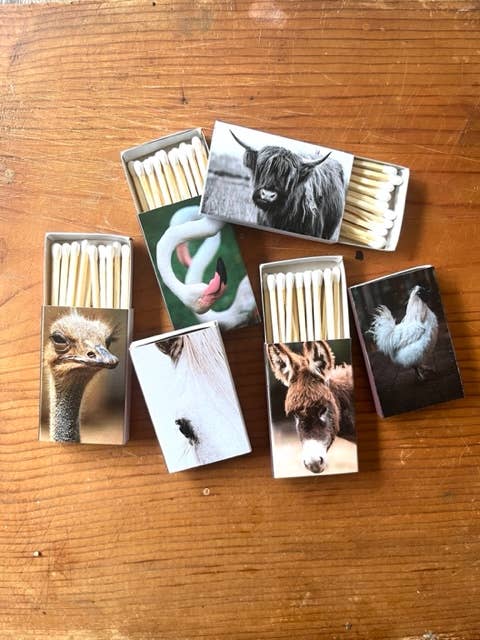 Candle matches