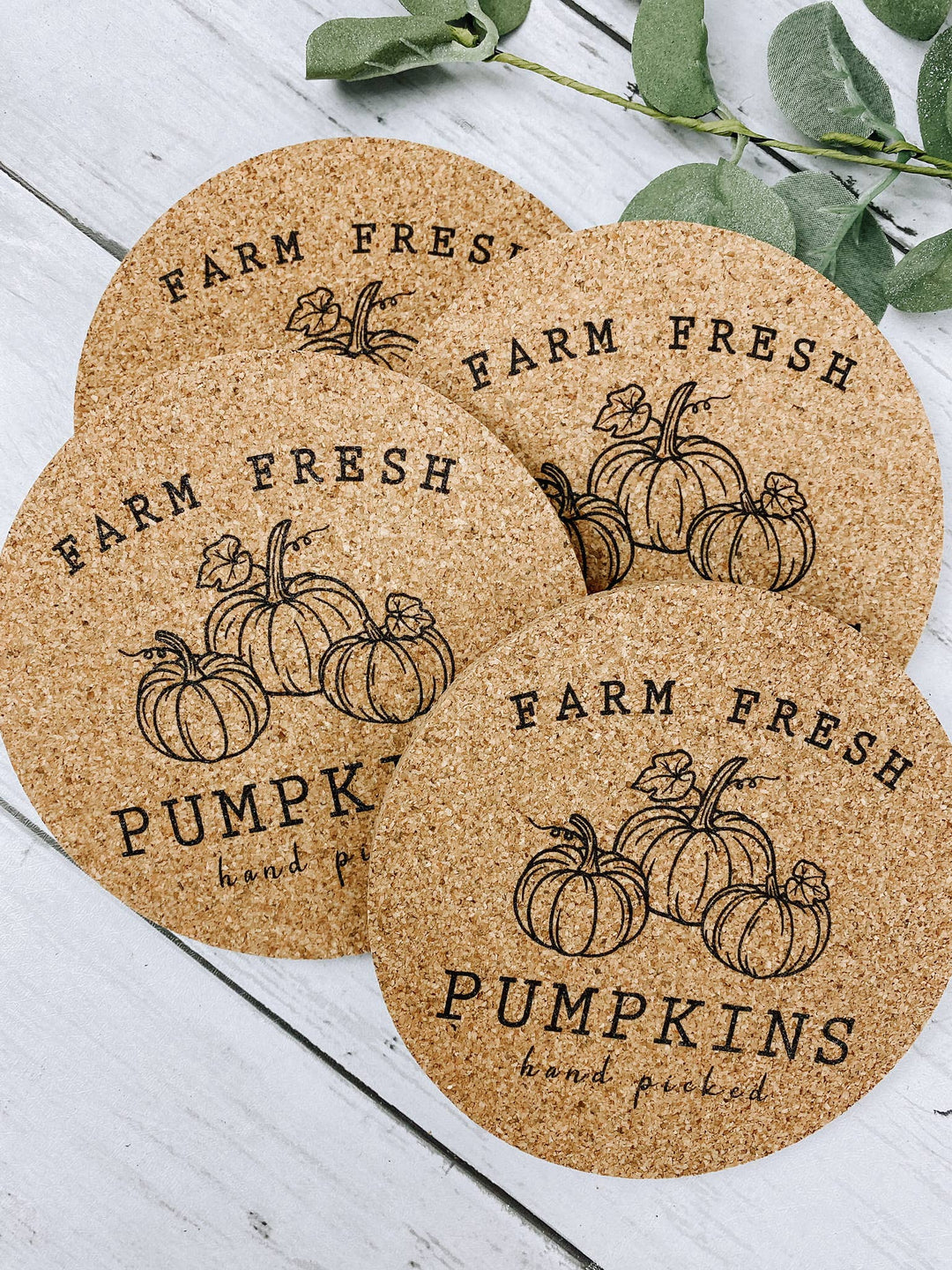 Farm Fresh Pumpkins Fall Cork Coasters