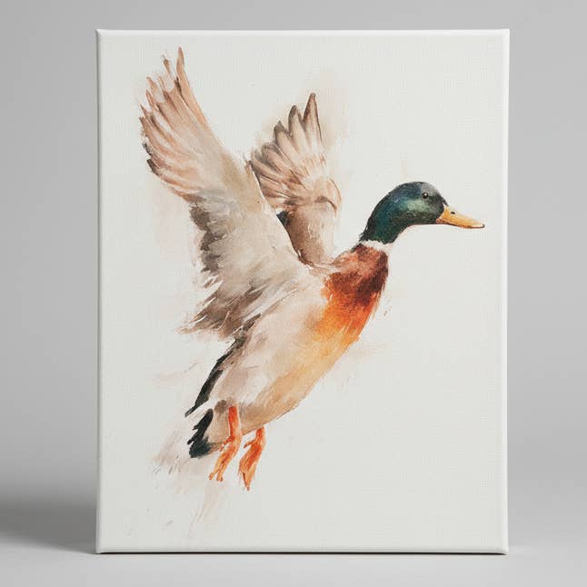 Mallard duck canvas art print