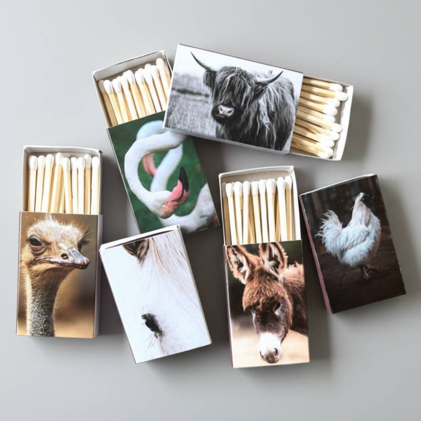 Candle matches