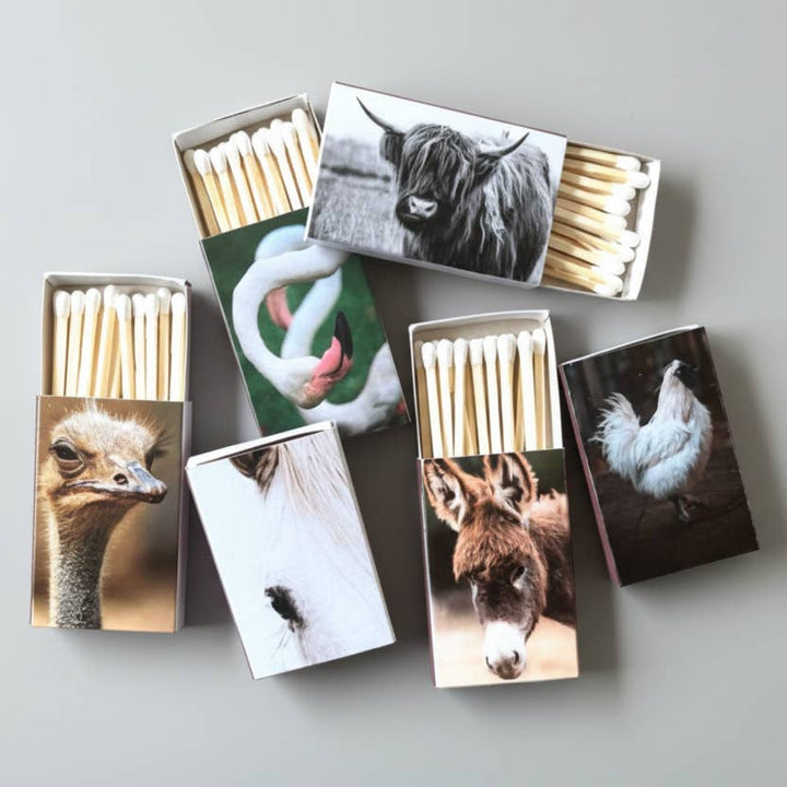 Candle matches