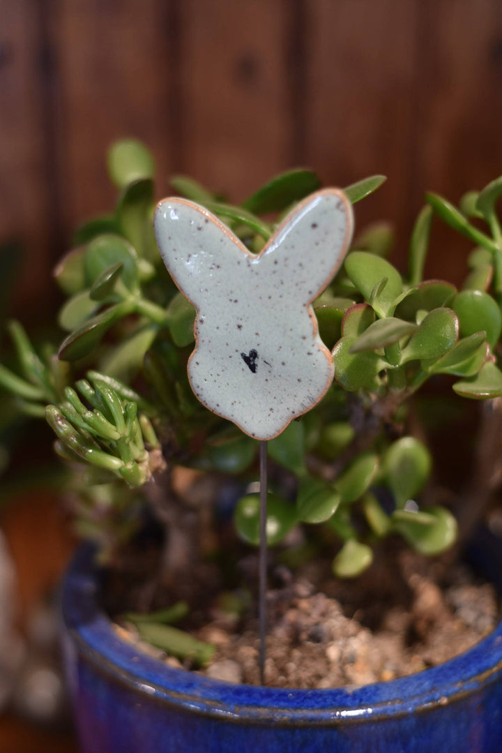 Plant Buddies - Bunny