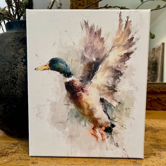 Mallard duck canvas art print,