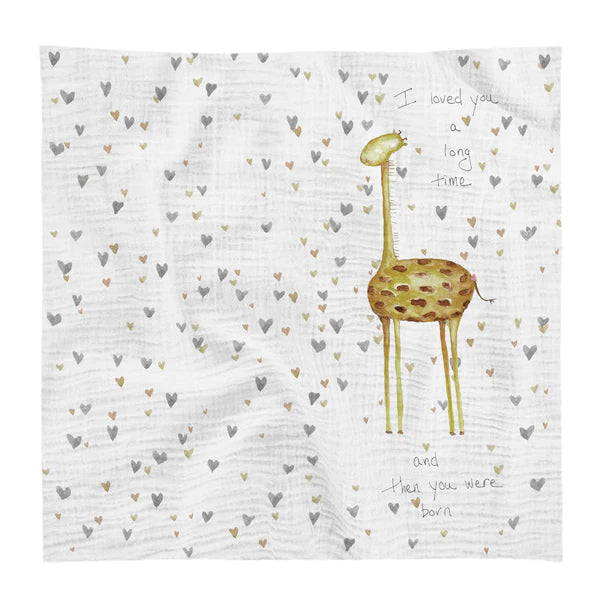 Baby Swaddle(s)