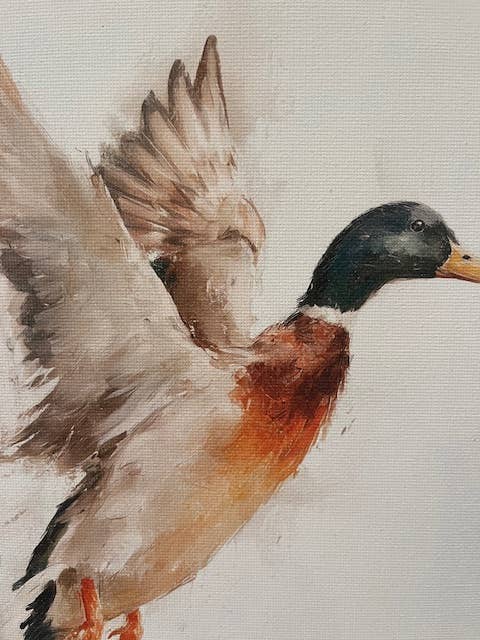 Mallard duck canvas art print
