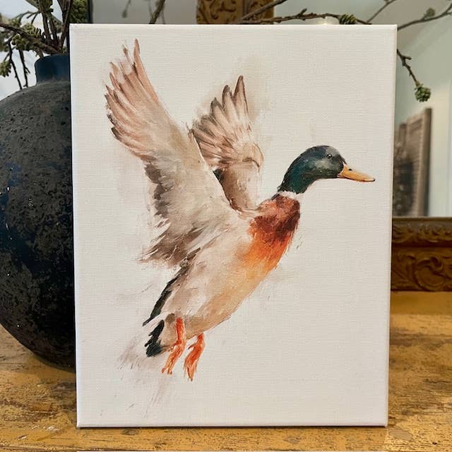Mallard duck canvas art print