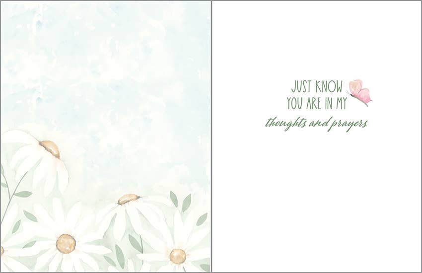 Thinking of You Greeting Card - Daisy Field