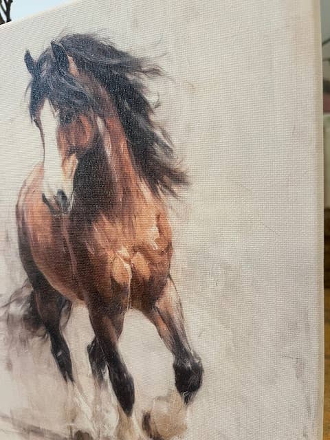 Equestrian horse canvas art print