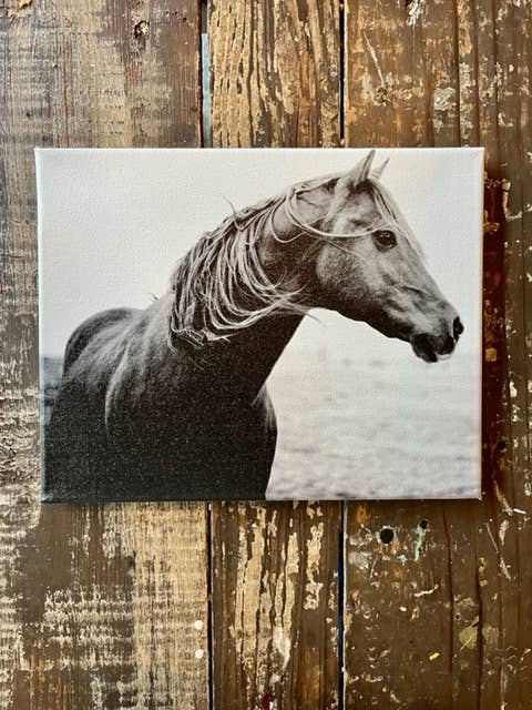 Black and White Horse Photography Canvas Print, Western home
