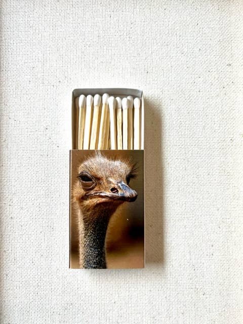 Candle matches