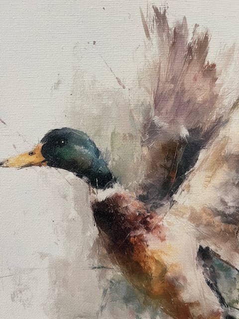 Mallard duck canvas art print,
