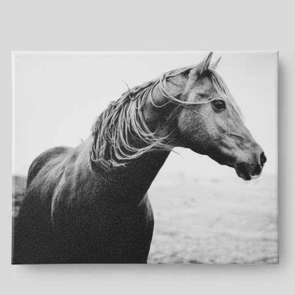 Black and White Horse Photography Canvas Print, Western home