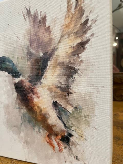 Mallard duck canvas art print,