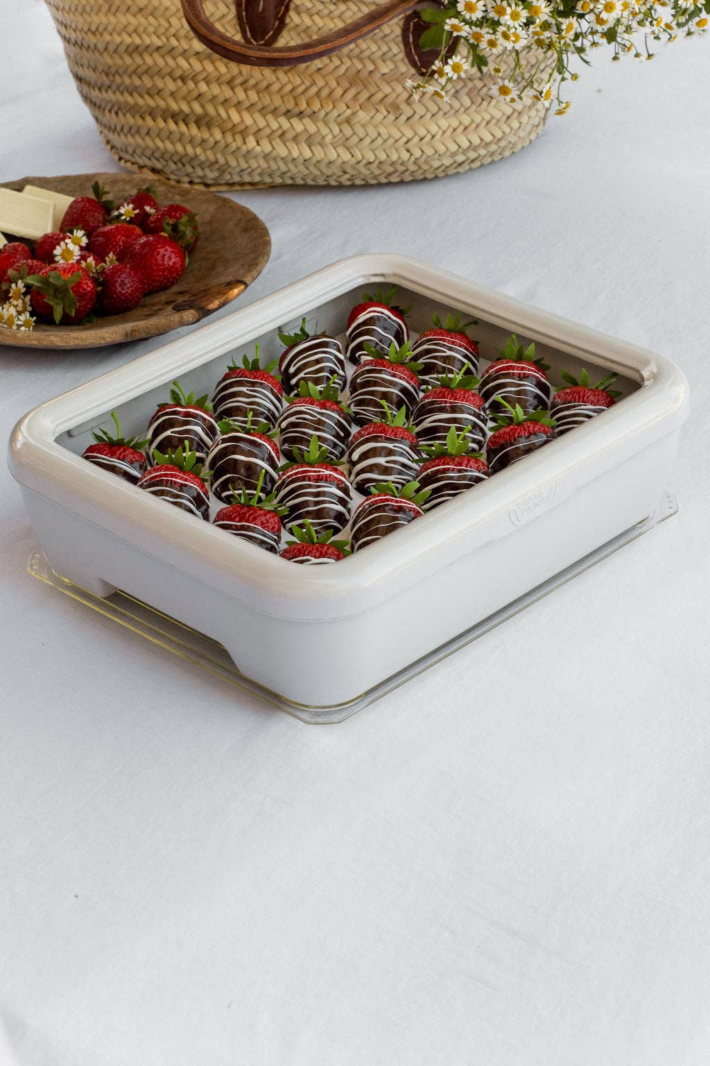 Fancy Panz® Accessory - Deviled Egg Trayz Insert