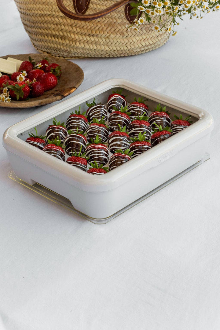 Fancy Panz® Accessory - Deviled Egg Trayz Insert
