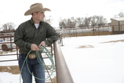 Cinch - Men's Long Sleeve Shirt - Olive