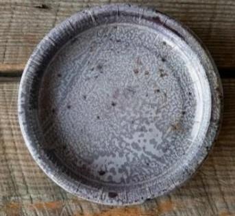 Paper Dinner Plates, Aged Graniteware
