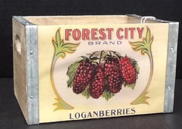 Berry Box- Loganberry