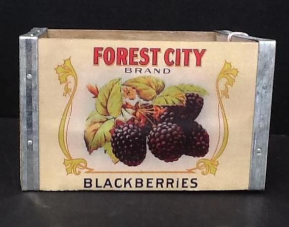 Berry Box- Blackberry